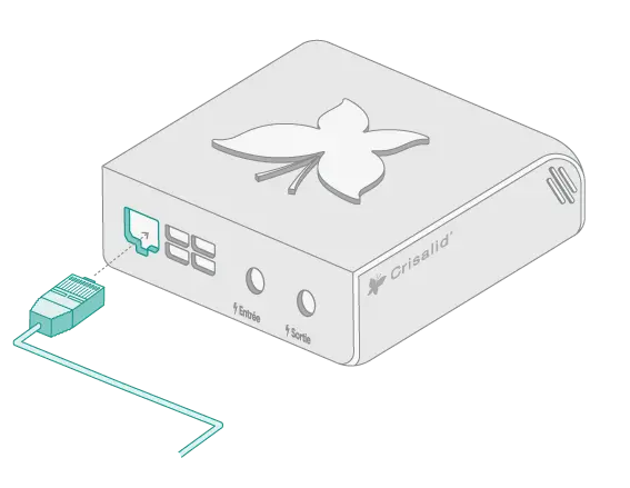 Connectez votre câble réseau