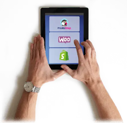 Les plateformes de e-commerce