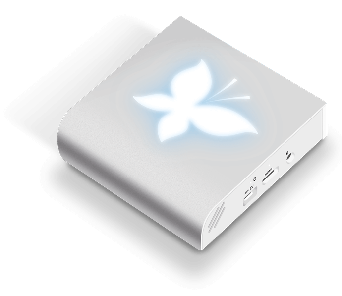 Crisalid Box