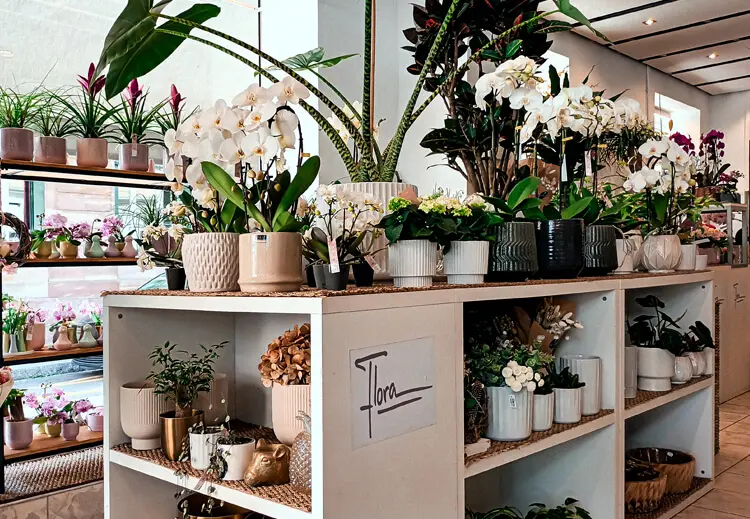 Installation caisse enregistreuse fleuriste Fleurs Flora Strasbourg