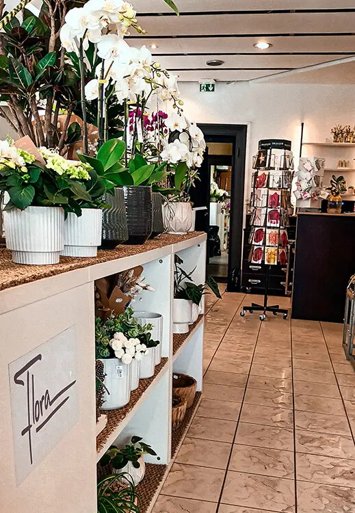 Installation caisse enregistreuse fleuriste Fleurs Flora Strasbourg