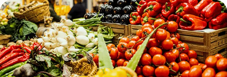 Logiciel de caisse épicerie