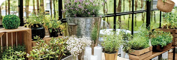 Logiciel de caisse fleuriste