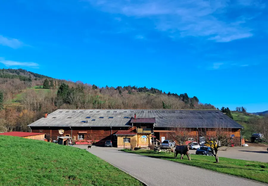 La Ferme Schmidt à Soultzeren La Ferme Schmidt à Soultzeren